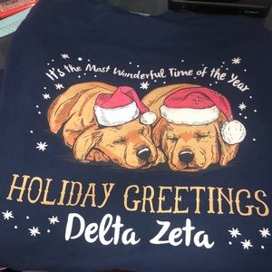 Delta Zeta long sleeve comfort colors
